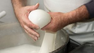 mozzarella - depositphotos.com - Tigulliovino.it