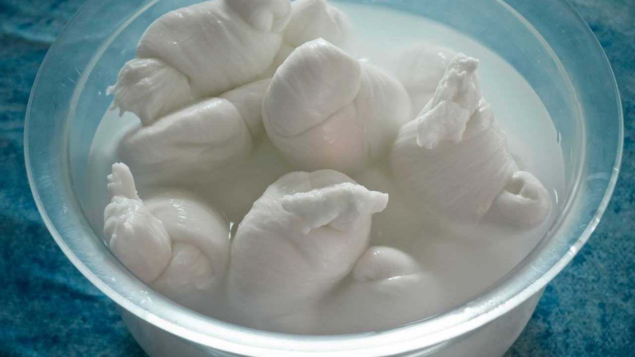 acqua-della-mozzarella-ifood.it_Tigulliovino.it